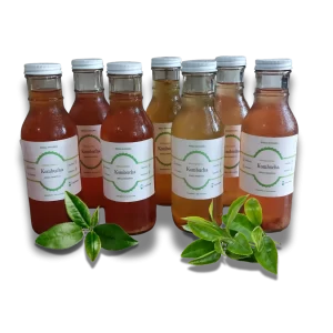 Kombucha