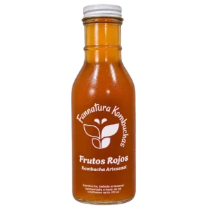 Kombucha frutos rojos