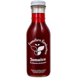Kombucha de Jamaica