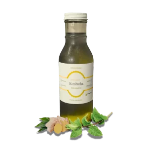 Kombucha menta-jengibre