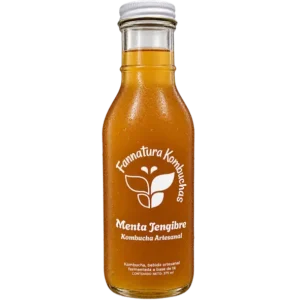 Kombucha menta-jengibre